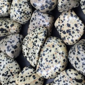 Jaspe dalmatien pierres roulées « taille moyenne »