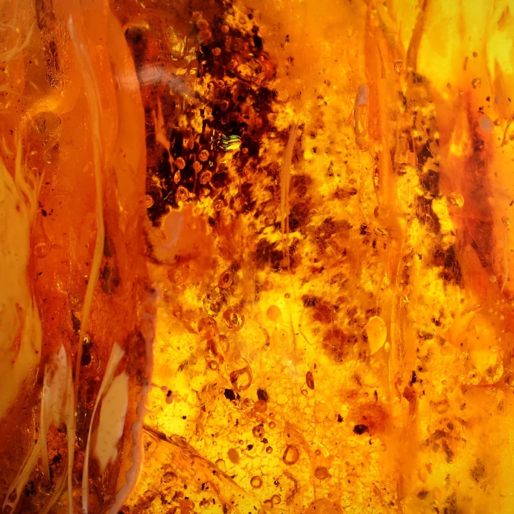 Ambre Jaune