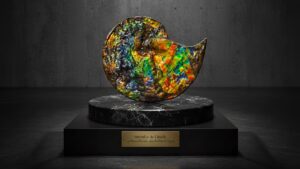 Ammolite du Canada la Pierre Fossile aux Reflets d’Opale