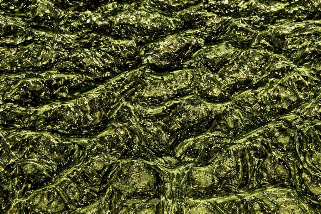 Détails fascinants de la moldavite