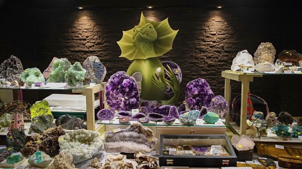 Fossilium exposition minéraux et fossiles