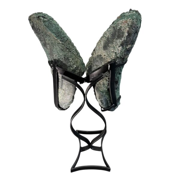 Géode de Calcédoine sur Agate "Ailes de Papillon" – Image 9