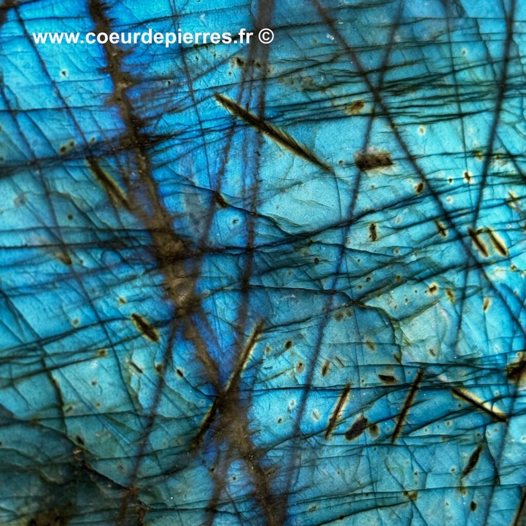 Labradorite Bleue