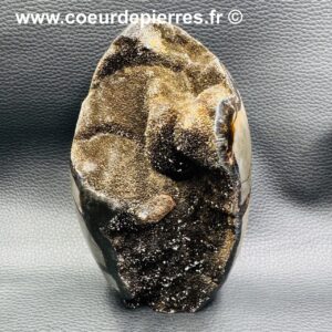 Oeuf en Septaria Sauvage