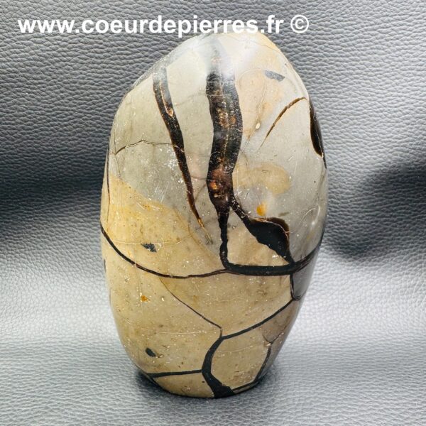 Oeuf en Septaria Sauvage de Madagascar 1,720kg (réf oss2) – Image 5