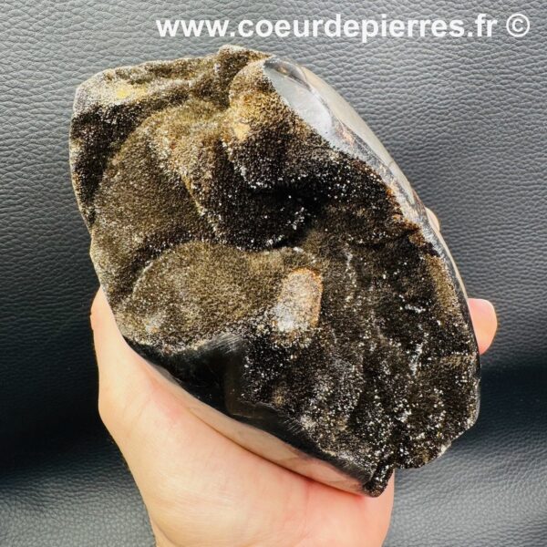 Oeuf en Septaria Sauvage de Madagascar 1,720kg (réf oss2) – Image 6