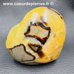 Coeur en Septaria