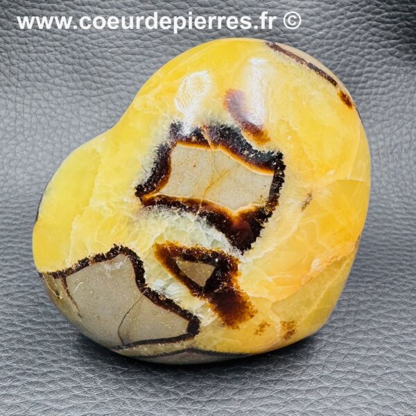 Coeur en Septaria