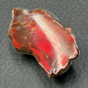 Écaille d'Ammolite