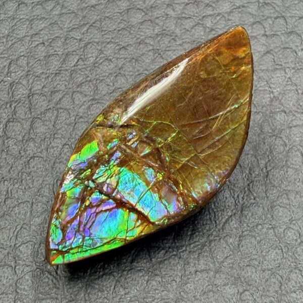 Ammolite de la rivière Sainte Marie, Alberta, Canada (réf aml2) – Image 3