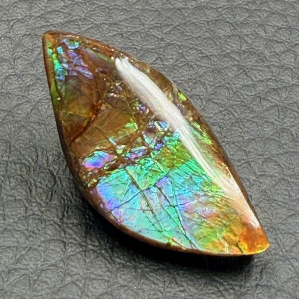 Ammolite de la rivière Sainte Marie, Alberta, Canada (réf aml2) – Image 2