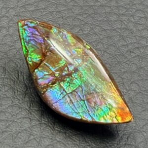 Ammolite