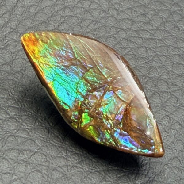 Ammolite de la rivière Sainte Marie, Alberta, Canada (réf aml2) – Image 5