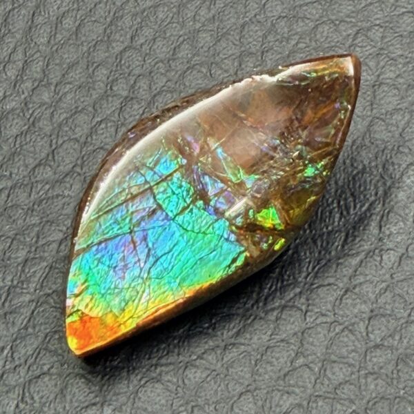 Ammolite de la rivière Sainte Marie, Alberta, Canada (réf aml2) – Image 4