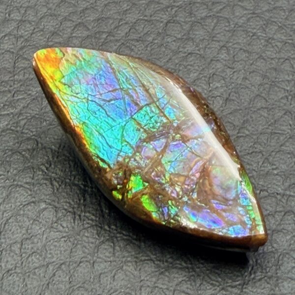 Ammolite de la rivière Sainte Marie, Alberta, Canada (réf aml2) – Image 7