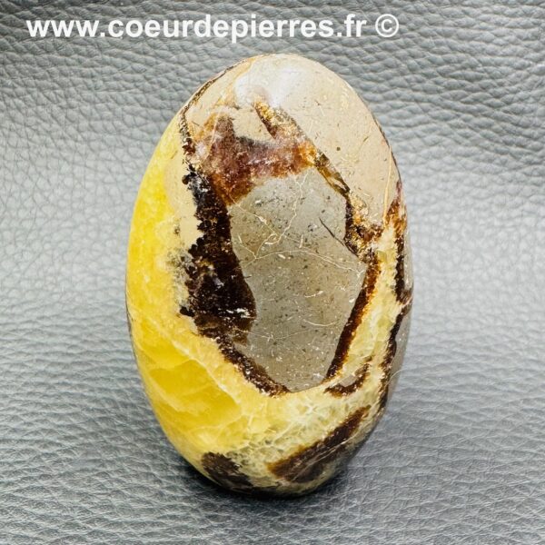 Septaria "Forme Libre" de Madagascar (réf ss11) – Image 3