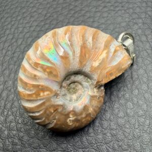 pendentif ammonite opalisée