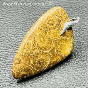 Pendentif corail fossile de Malaisie (réf pco8)
