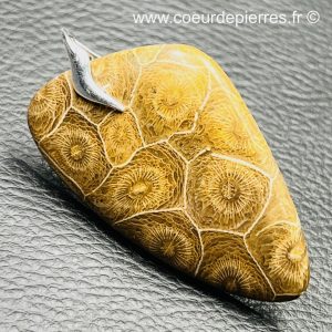 Pendentif corail fossile de Malaisie (réf pco8)
