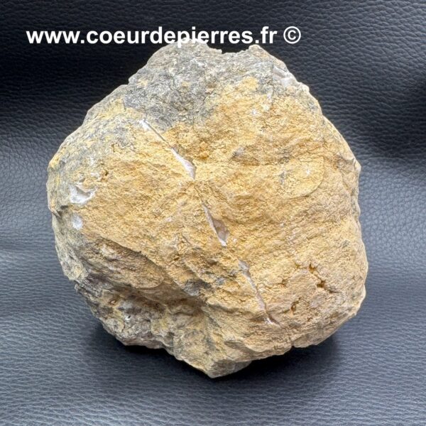 Géode cristal de roche du Maroc (réf gcr24) – Image 4