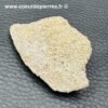 Coquillle d'Oeuf de Dinosaure Saltasaurus (réf cod3) – Image 3