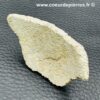 Coquillle d'Oeuf de Dinosaure Saltasaurus (réf cod3) – Image 4