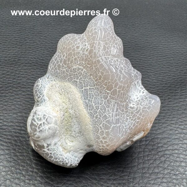 Agate Peau de Serpent d'Australie (réf aps1) – Image 4