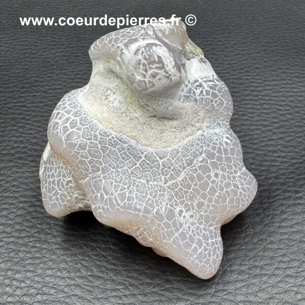 Agate Peau de Serpent d'Australie (réf aps1) – Image 3