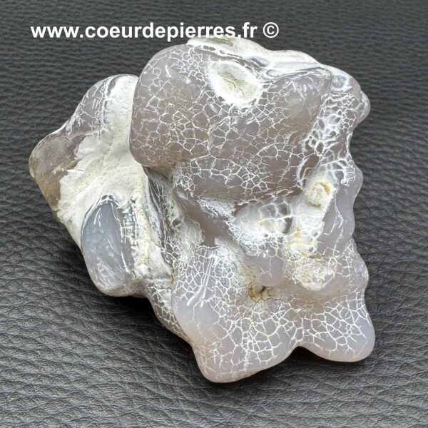 Agate Peau de Serpent d'Australie (réf aps1) – Image 2
