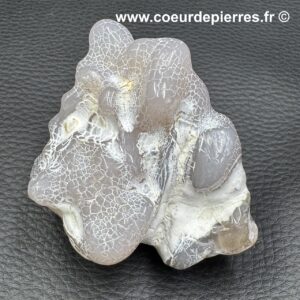 Agate Peau de Serpent