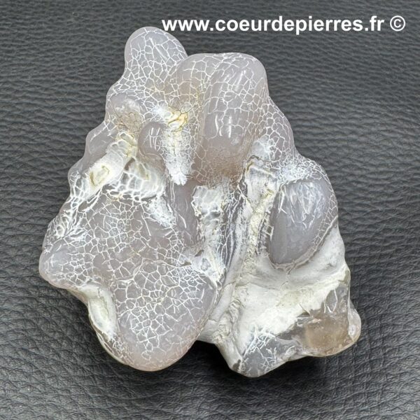 Agate Peau de Serpent
