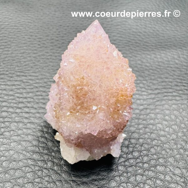 Améthyste Cactus d'Afrique (réf aca1) – Image 3