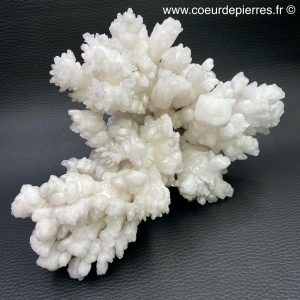 Calcite blanche « stalactite » du Mexique (réf cb1)