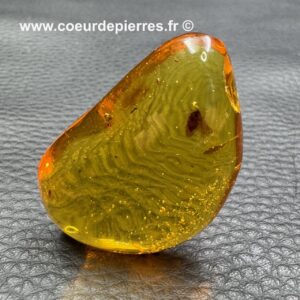 Ambre Dominicaine