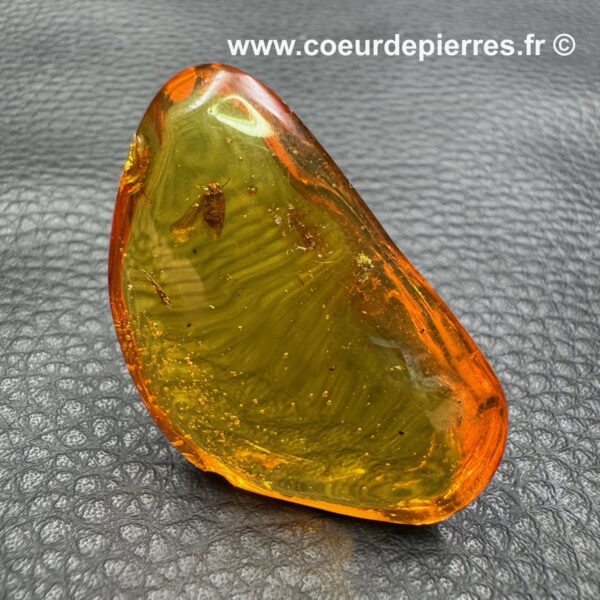Ambre avec inclusions d’insectes de République Dominicaine (réf ard5) – Image 2