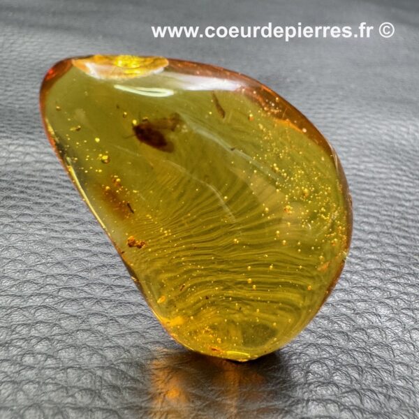 Ambre avec inclusions d’insectes de République Dominicaine (réf ard5) – Image 5