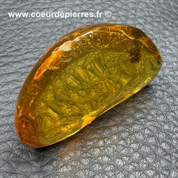 Ambre avec inclusions d’insectes de République Dominicaine (réf ard5) – Image 8