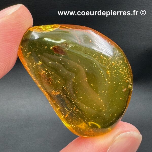 Ambre avec inclusions d’insectes de République Dominicaine (réf ard5) – Image 9