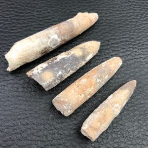 Lot de quatre rostres de bélemnite de France (réf pb4)