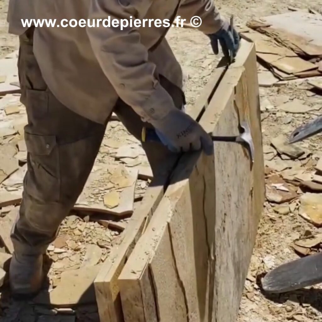 Extraction d'un Poisson Fossile 