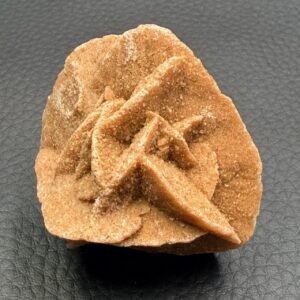 Rose des Sables