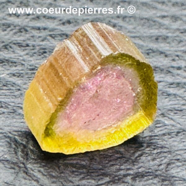 Tourmaline Melon d’Eau “tranche de prisme” (réf ptm9) – Image 2