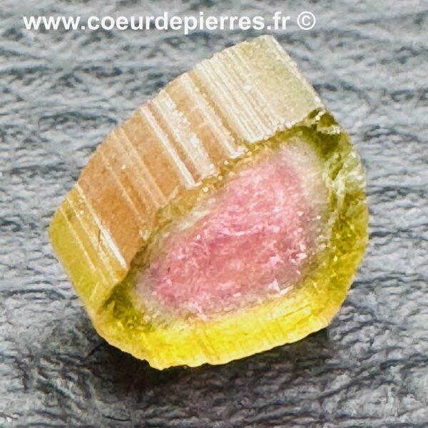 Tourmaline Melon d’Eau “tranche de prisme” (réf ptm9) – Image 3