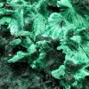 Malachite Fibreuse du Congo (réf bm17) – Image 7