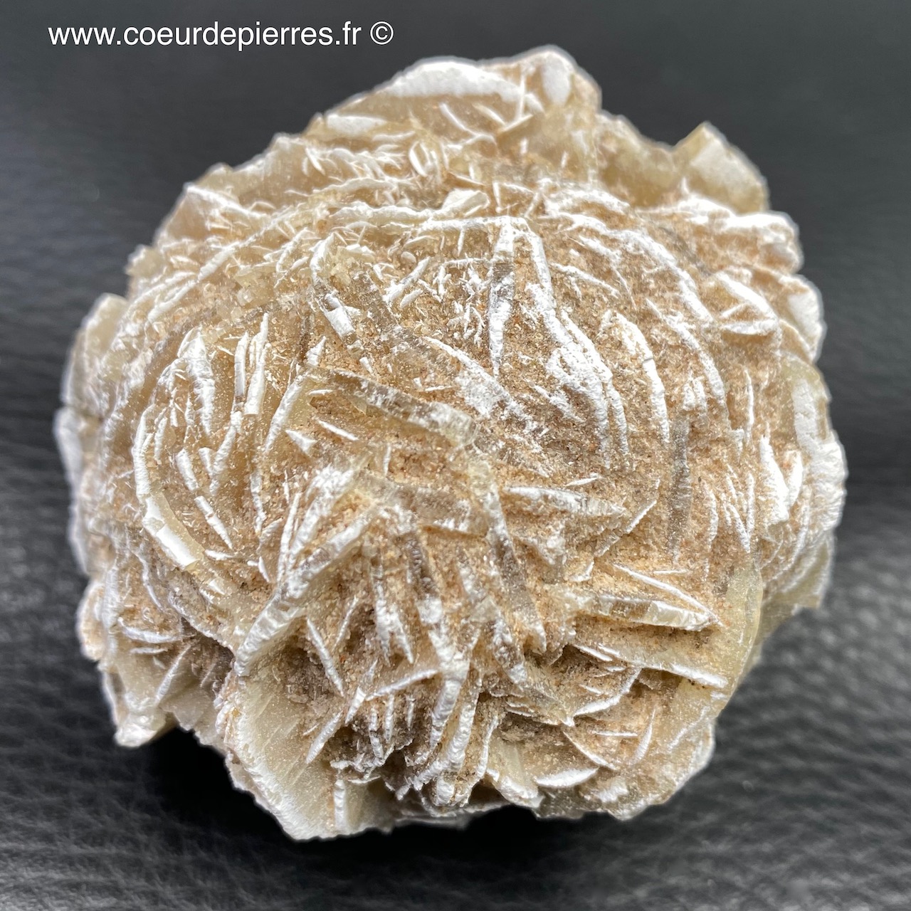 Rose des sables “gypse” du Maroc (réf rs7) Cœur de Pierres — free download
