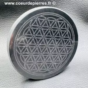 Fleur de Vie en Shungite