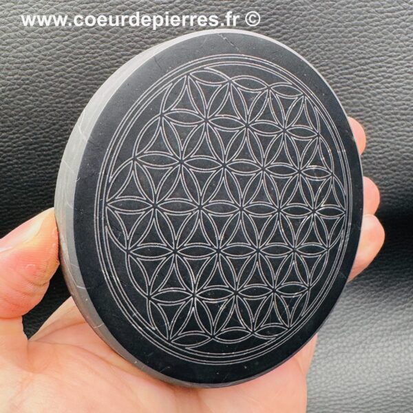 Fleur de Vie en Shungite (10 cm) – Image 4