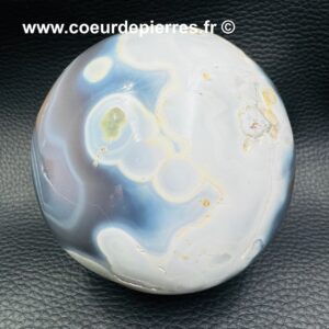 Agate orque