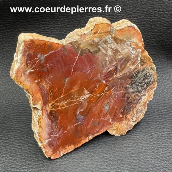 Tranche de bois fossilisé de Madagascar (réf tbf4) – Image 4
