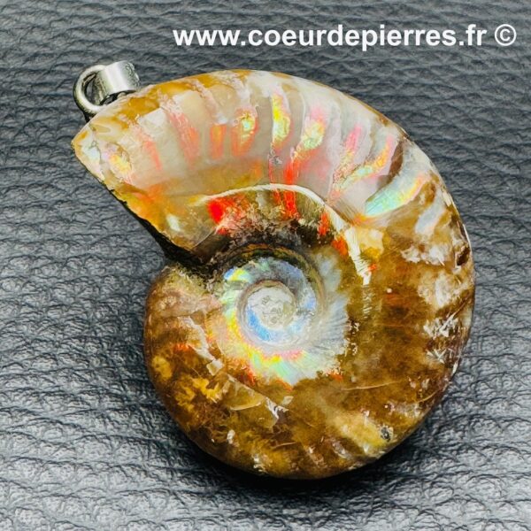 Pendentif Ammonite Opalisé